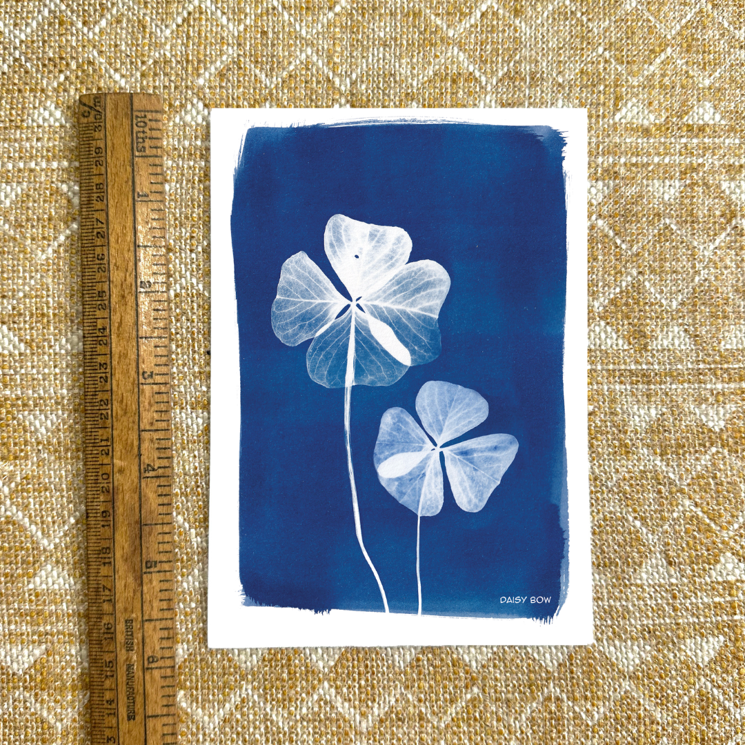 Good Luck Cyanotype Postcard: botanical print