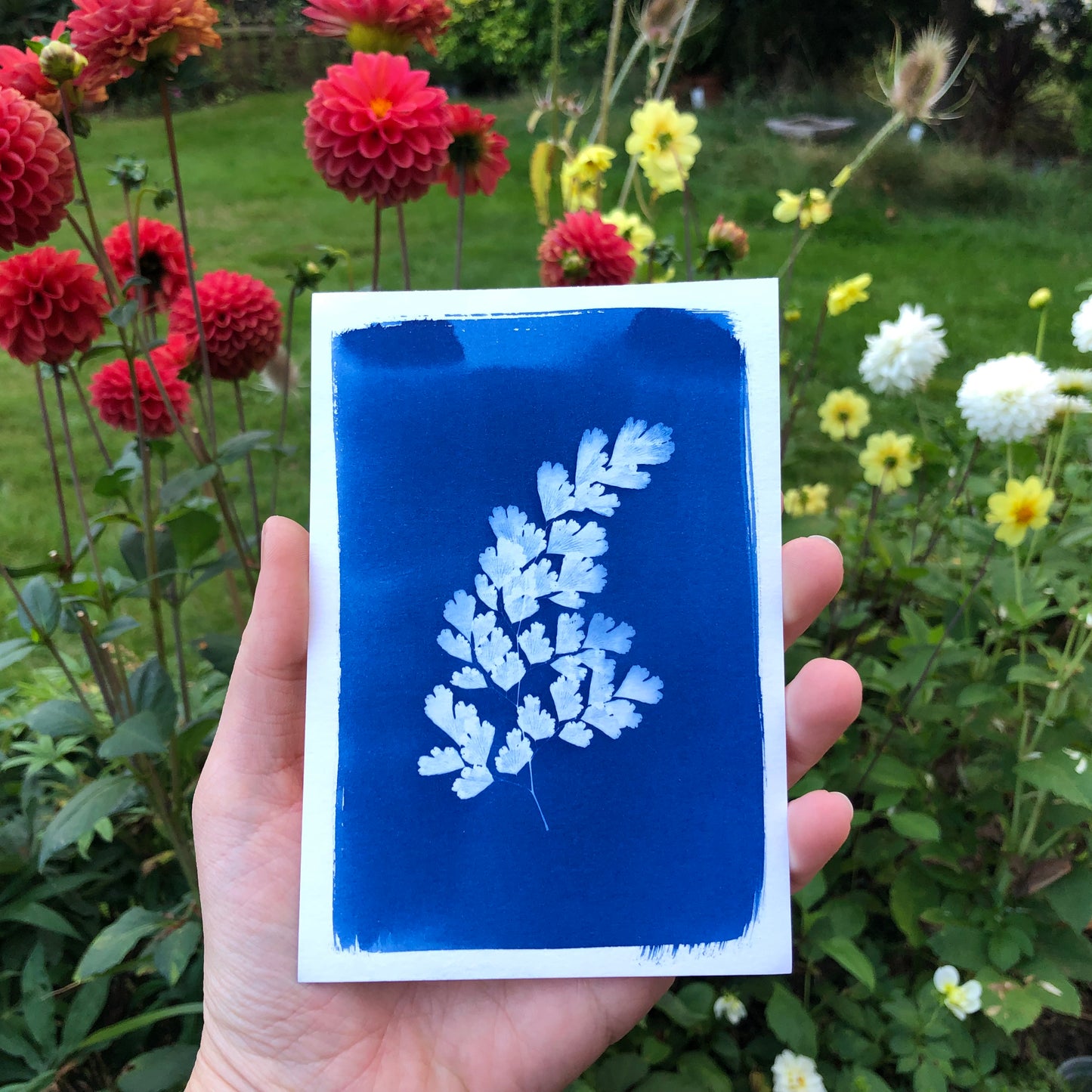 Peace Cyanotype Kit (for donation)