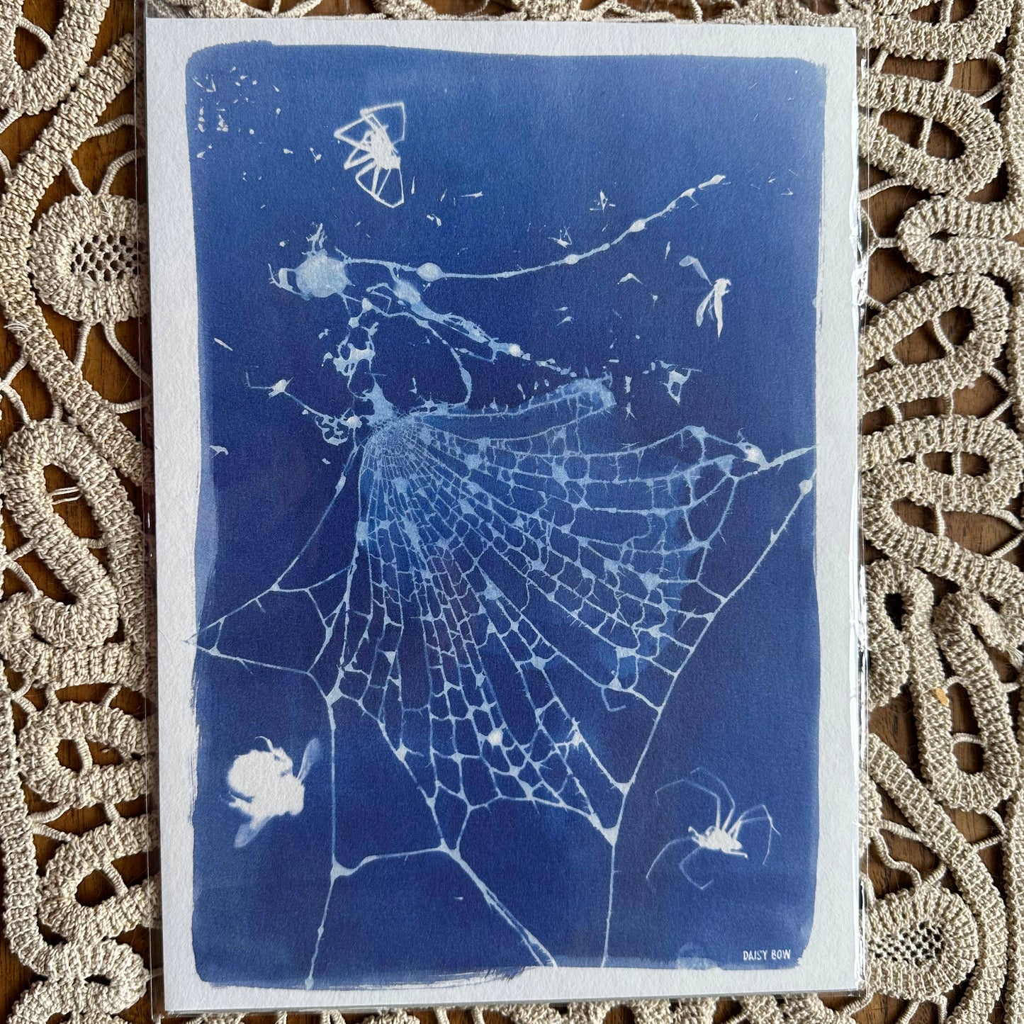Real Spider Web Cyanotype Print