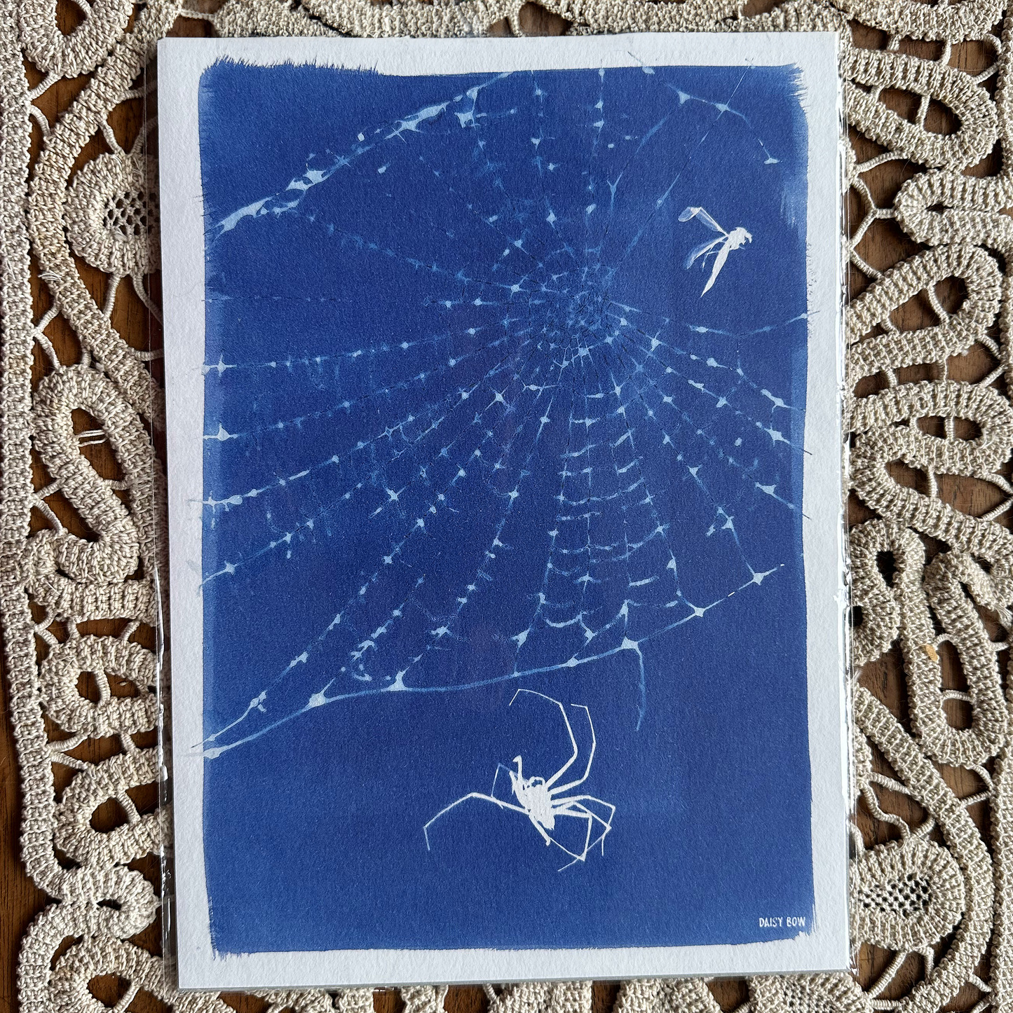 Real Spider Web Cyanotype Print