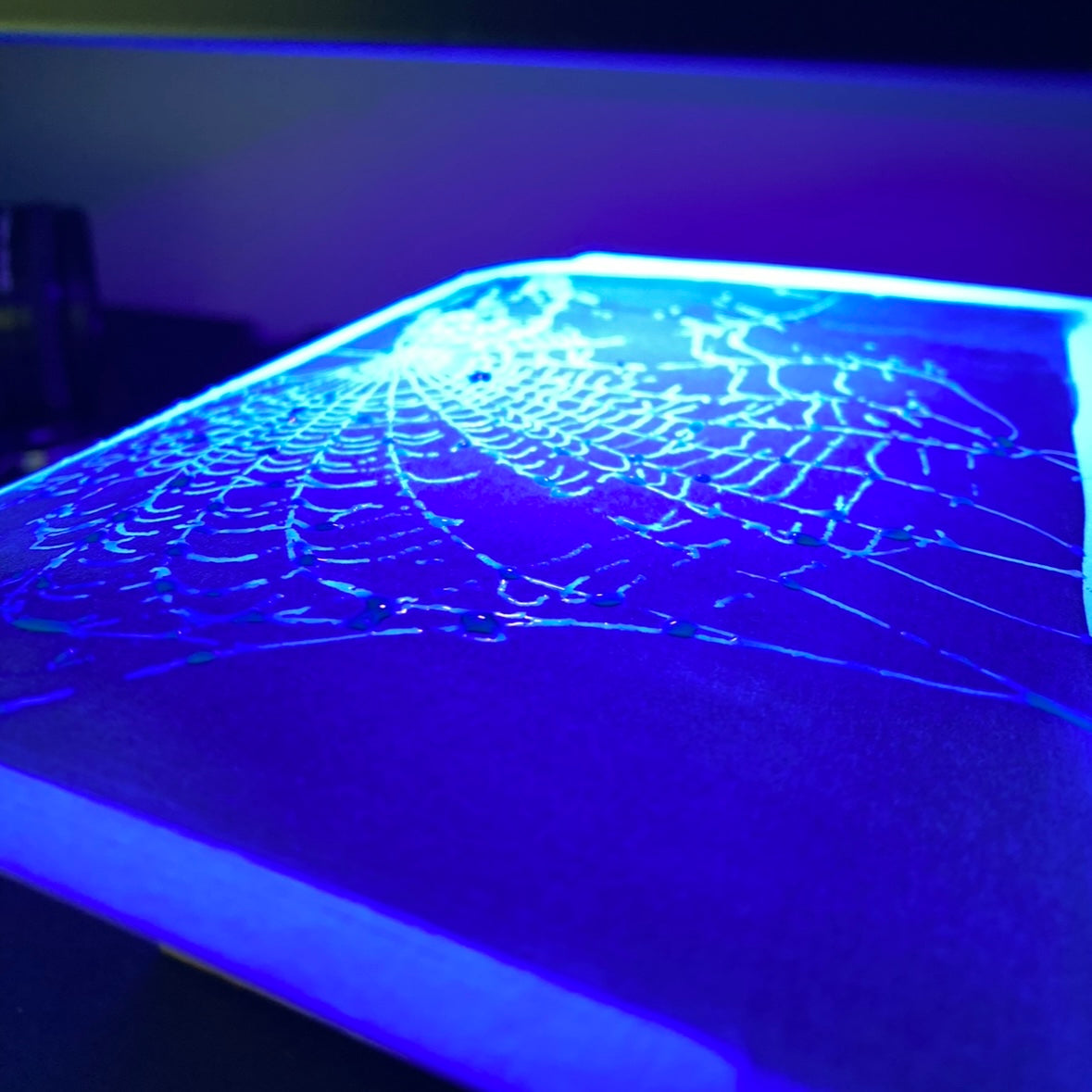 Real Spider Web Cyanotype Print