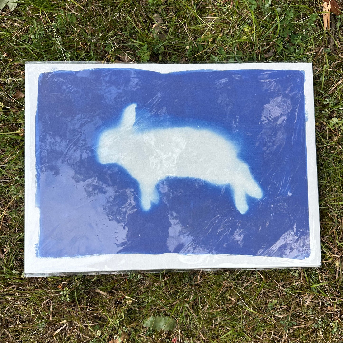 Bunny Cyanotype Print reproduction