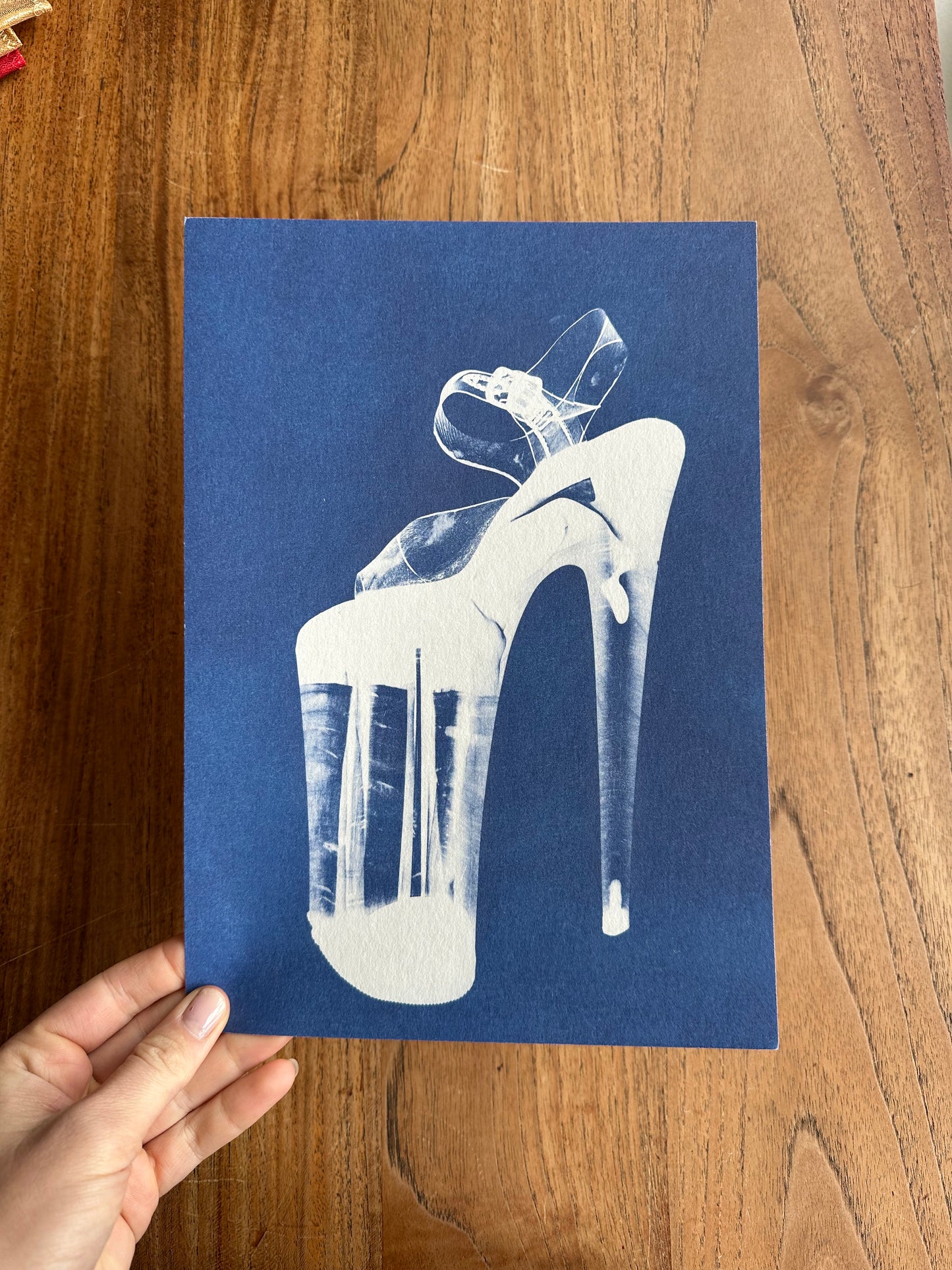 Pleaser Print for Pole Dancers