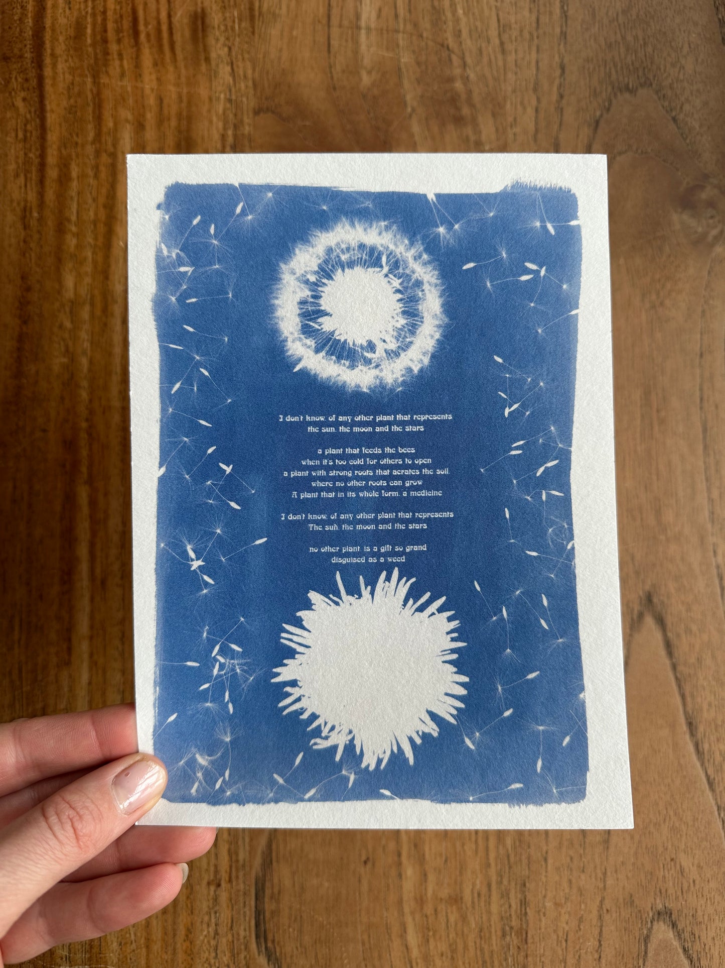 Dandelion Celestial Print