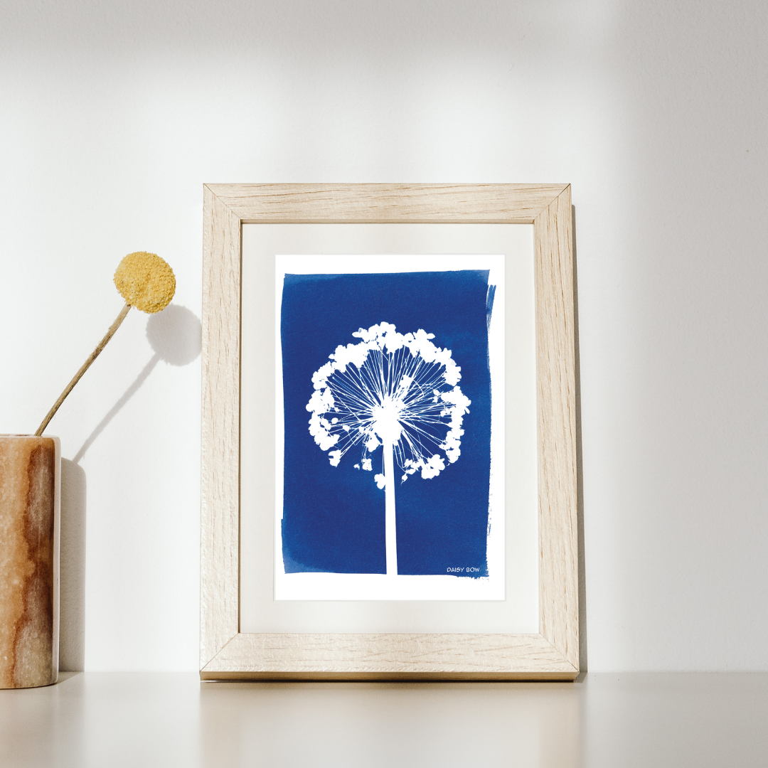 Cyanotype Postcards