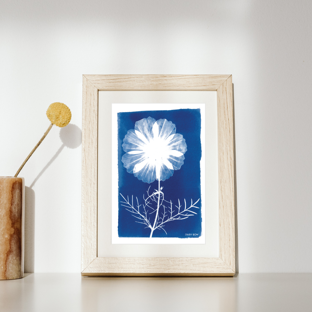 Cosmos Cyanotype Postcard: botanical print