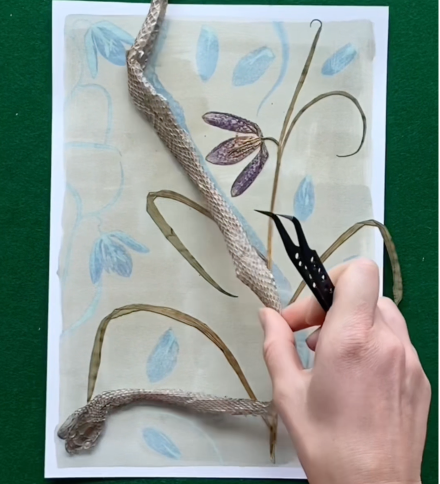 Snake Shed and Snake Head Fritillary Print