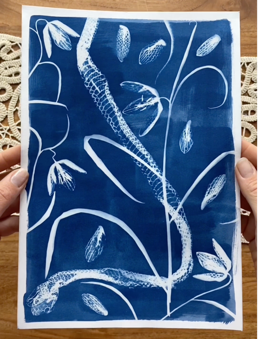 Snake Shed and Snake Head Fritillary Print