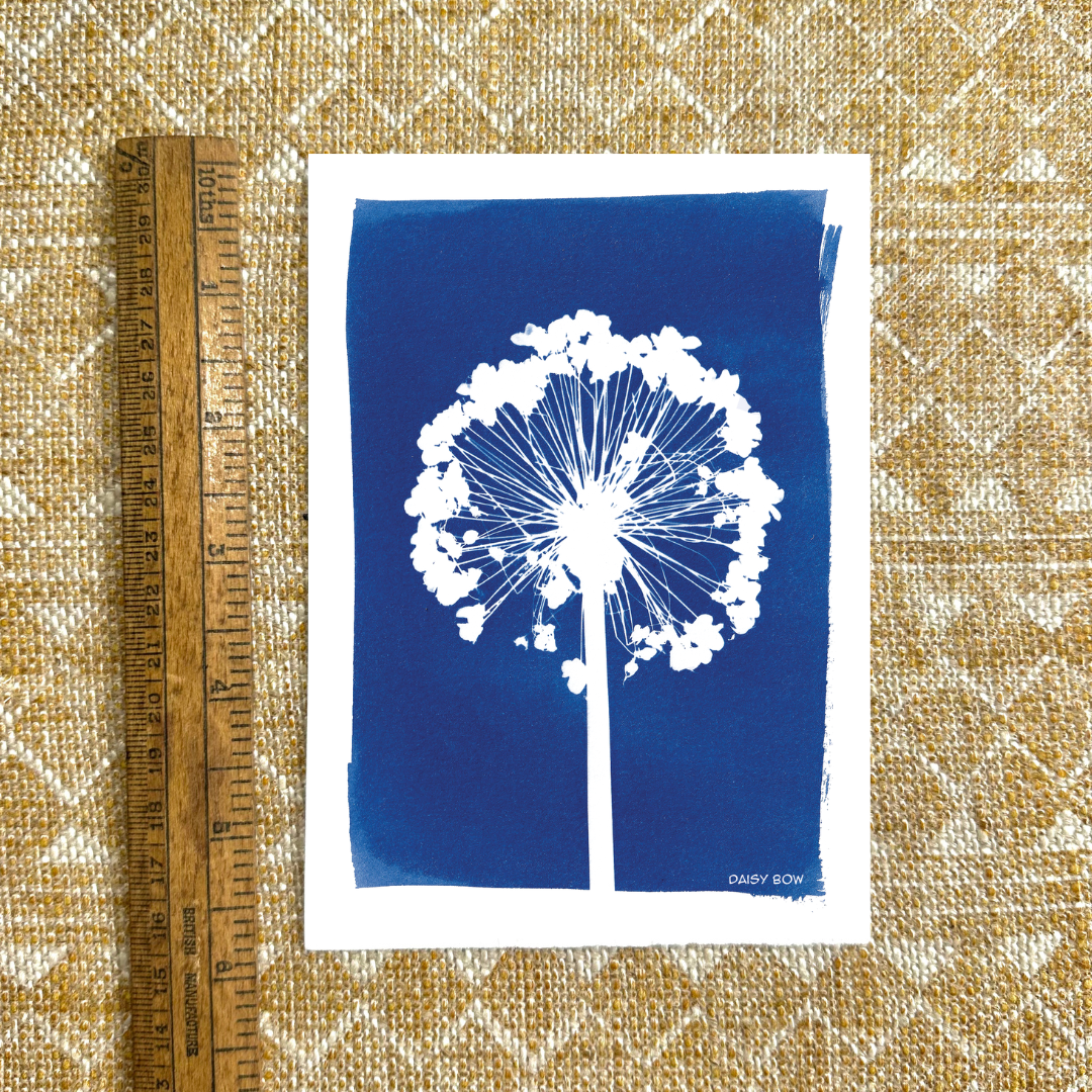 Cyanotype Postcards