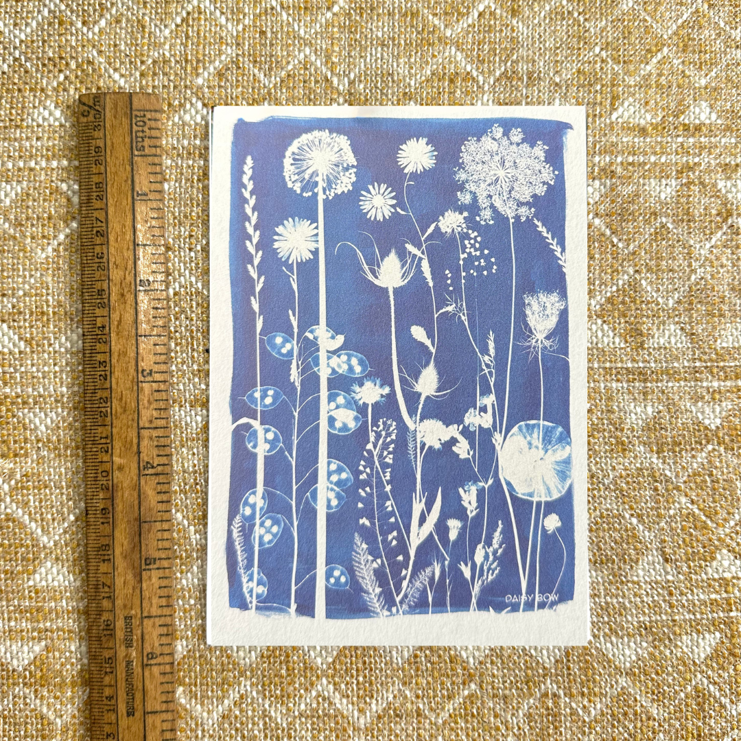Mixed flowers Cyanotype Postcard: botanical print