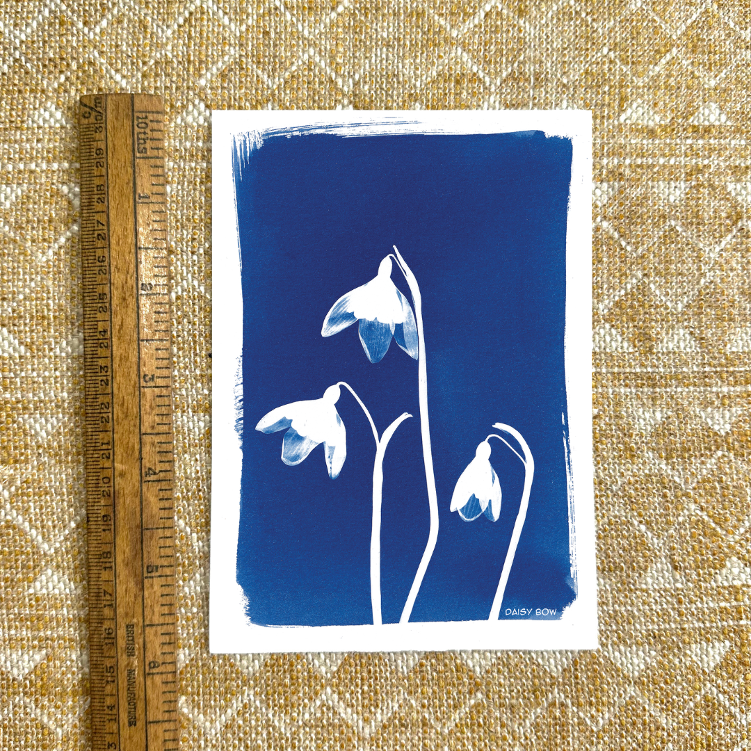 Snowdrop Cyanotype Postcard: botanical print