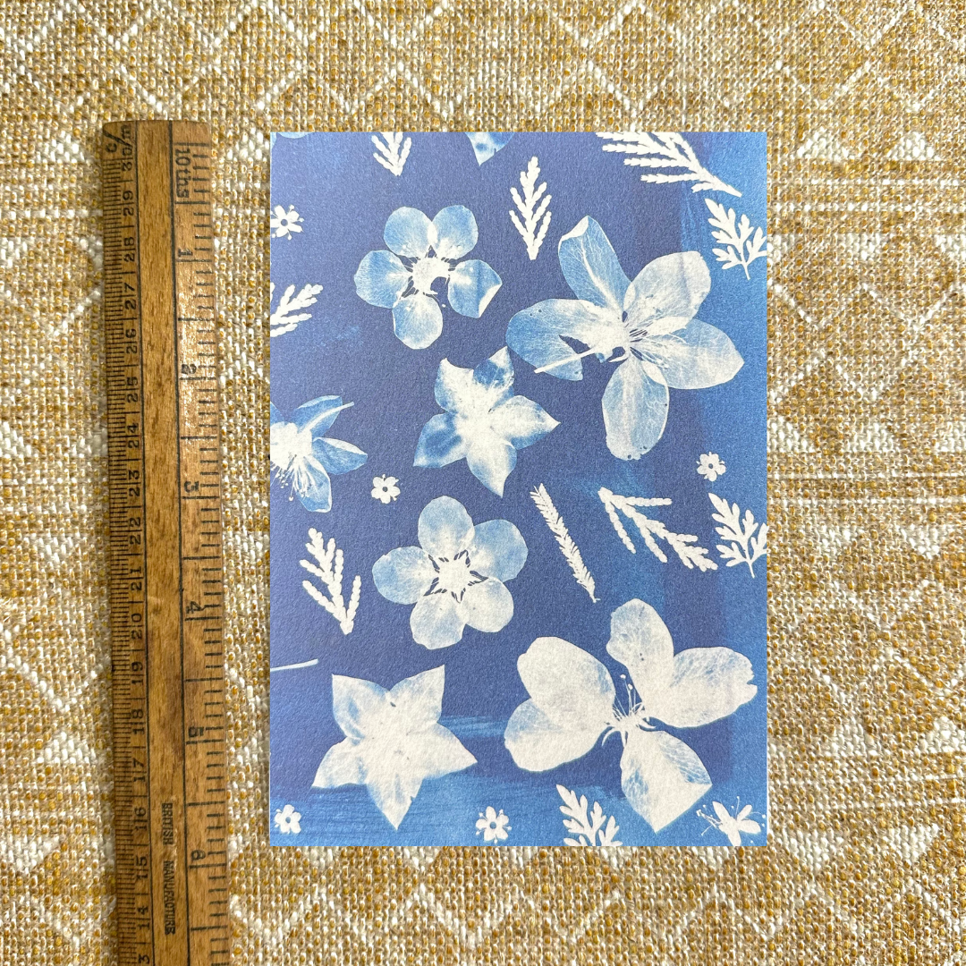 Apple Blossom Cyanotype Postcard: botanical print