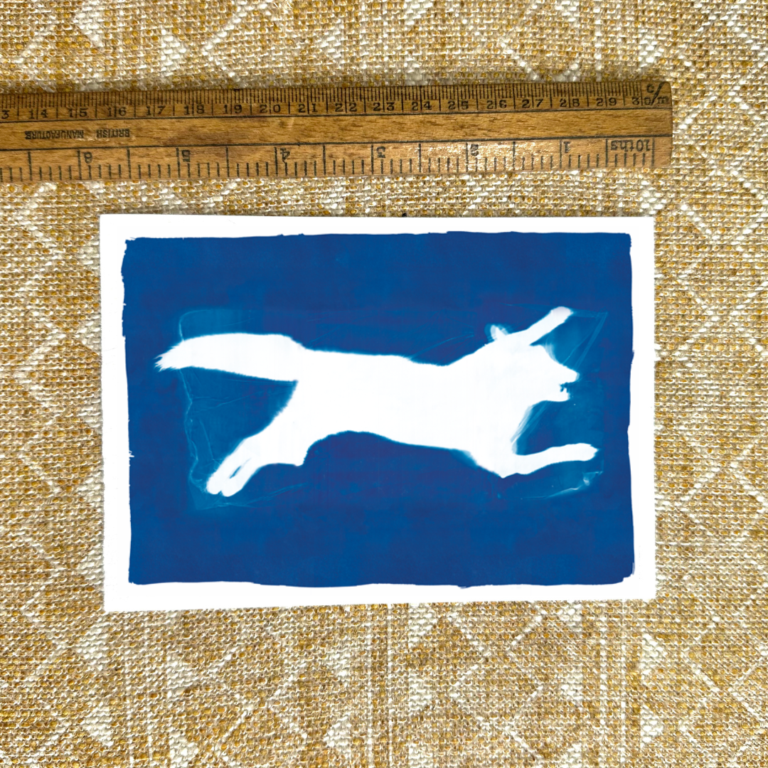 Fox Cyanotype Print reproduction
