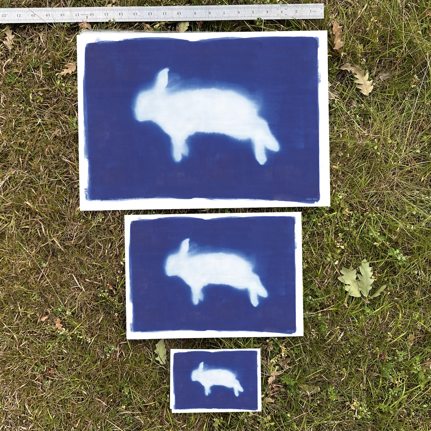 Bunny Cyanotype Print reproduction