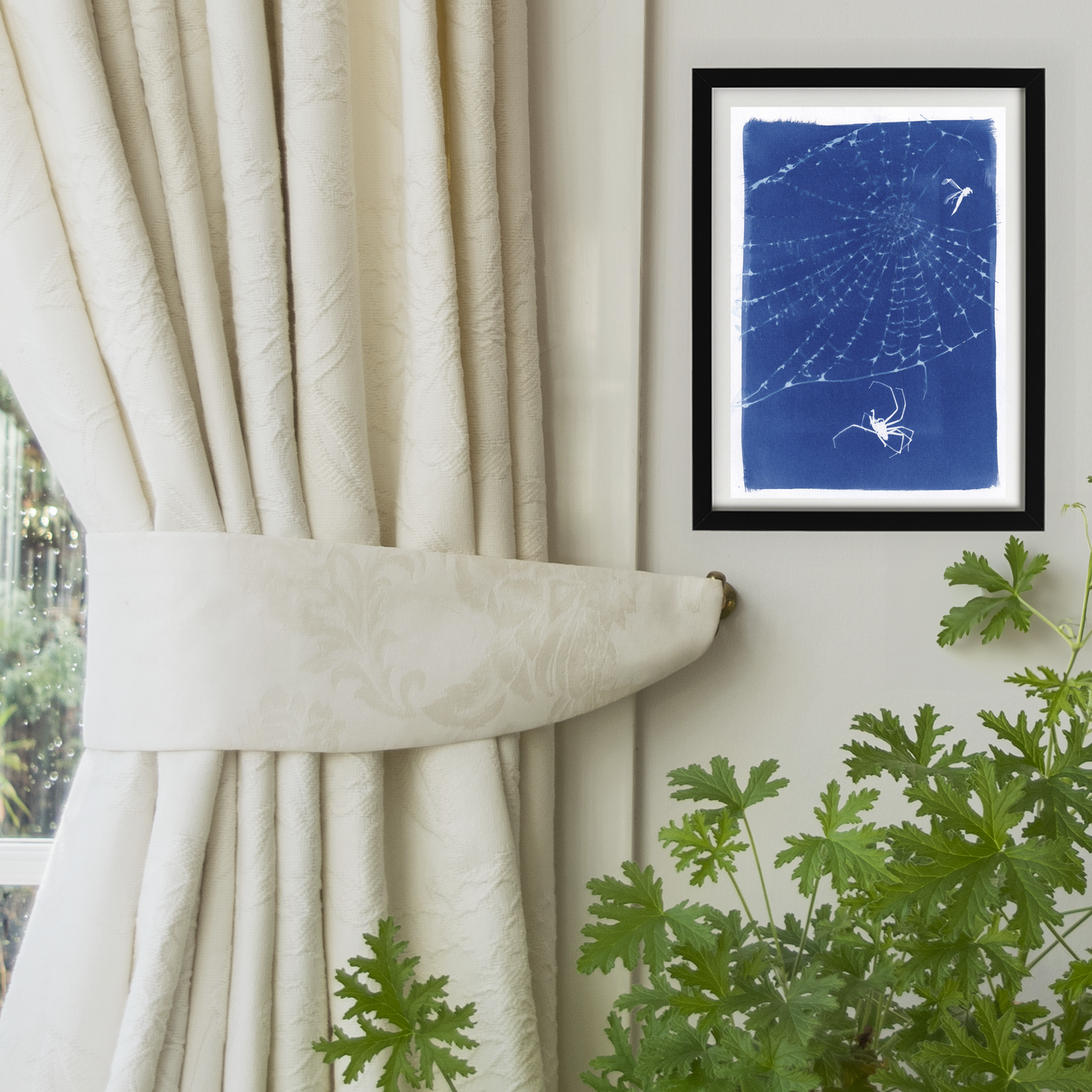 Real Spider Web Cyanotype Print
