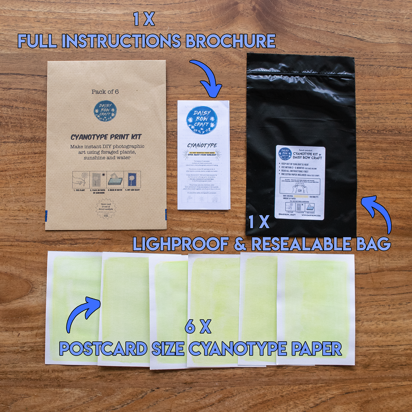 Easy Hand Painted Cyanotype Paper Kit by Daisy Bow