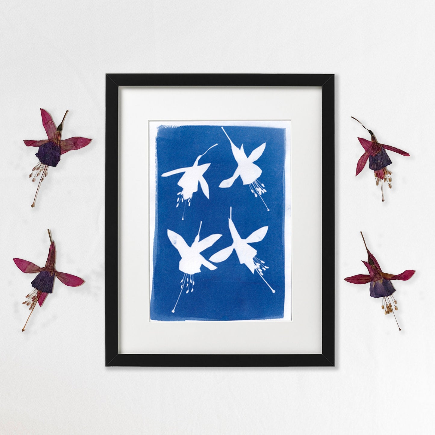 Original Cyanotype Print