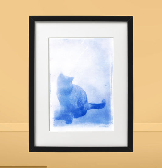 TikTok Cat Cyanotype Glass Photo Plate