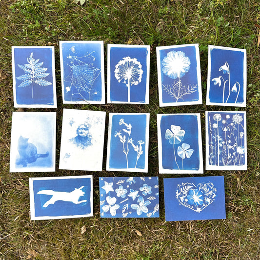 Cyanotype Postcards