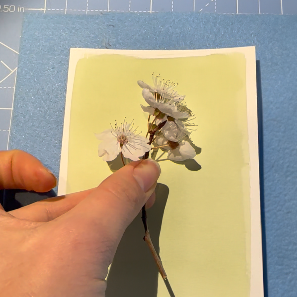 Make your own folded cards: cyanotype Kit