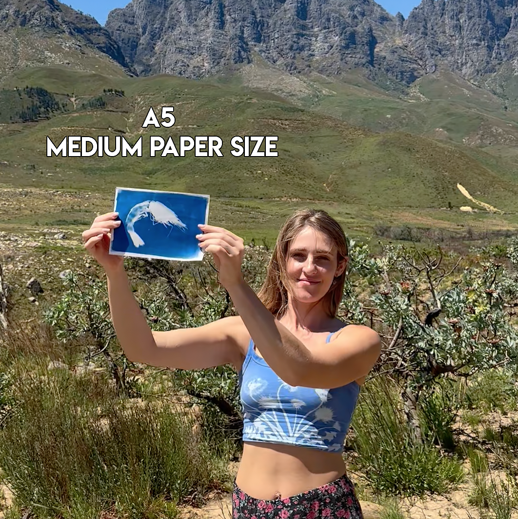 Large Cyanotype Paper Kit, hand painted by Daisy Bow