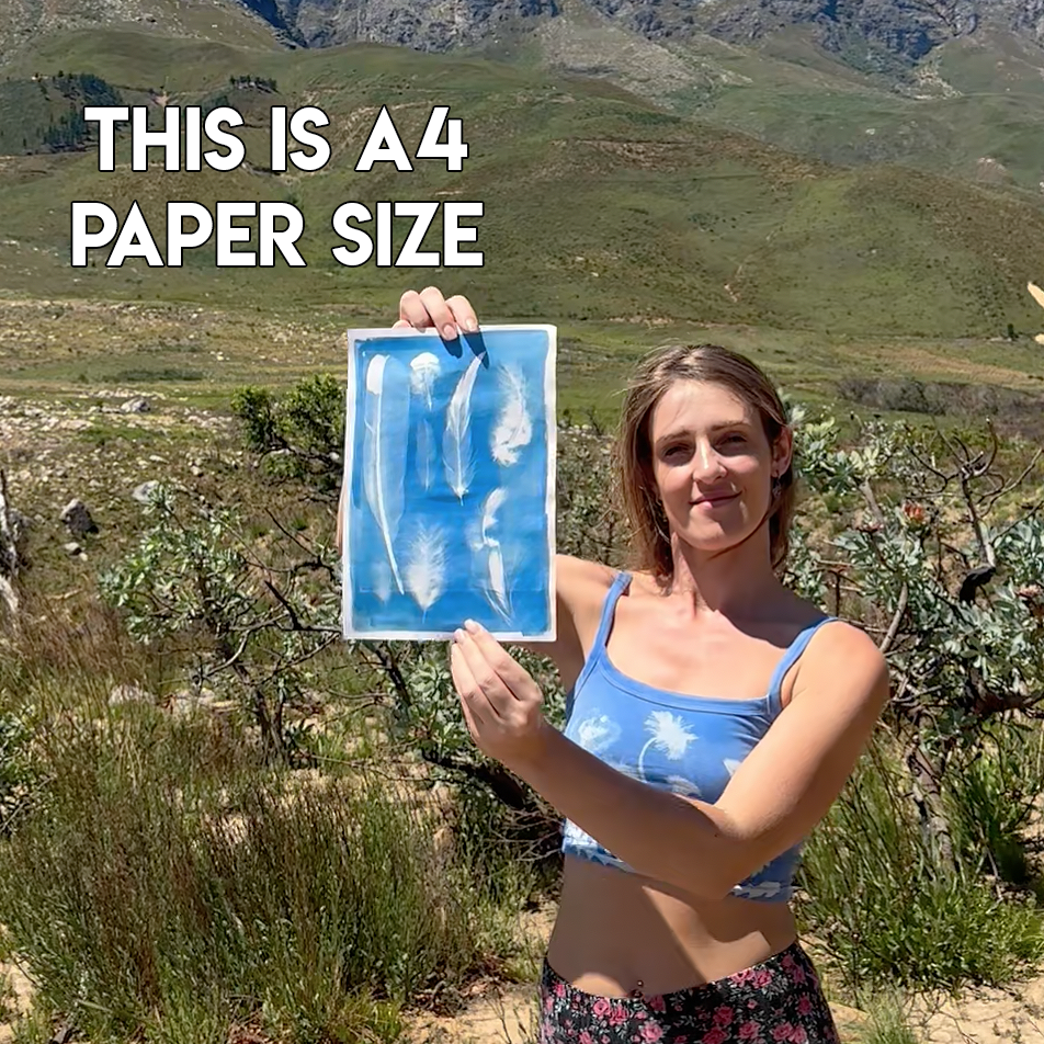 Large Cyanotype Paper Kit, hand painted by Daisy Bow