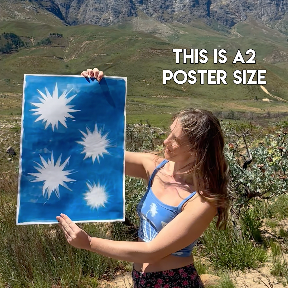 Large Cyanotype Paper Kit, hand painted by Daisy Bow