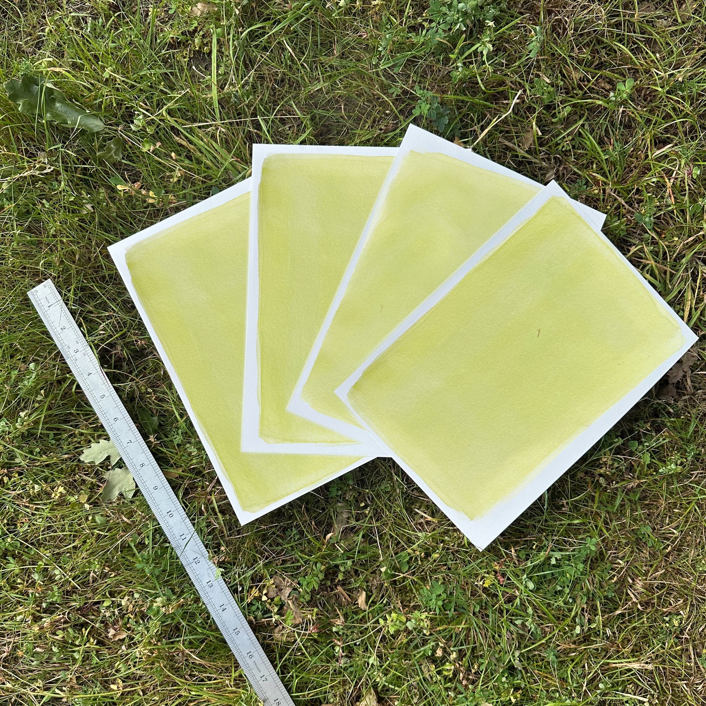 Large Cyanotype Paper Kit, hand painted by Daisy Bow