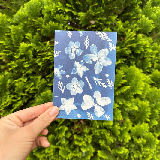 Apple Blossom Cyanotype Postcard: botanical print