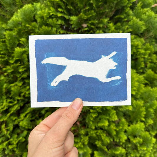 Fox Cyanotype Print reproduction