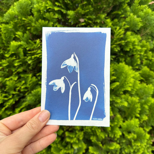 Snowdrop Cyanotype Postcard: botanical print
