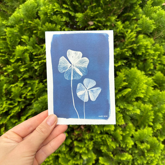 Good Luck Cyanotype Postcard: botanical print