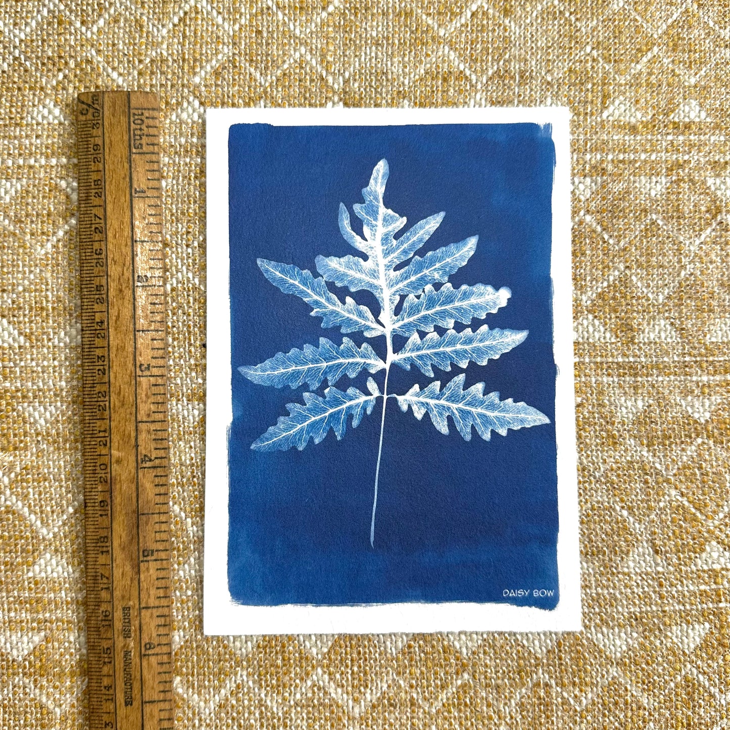 Fern Cyanotype Postcard: botanical print
