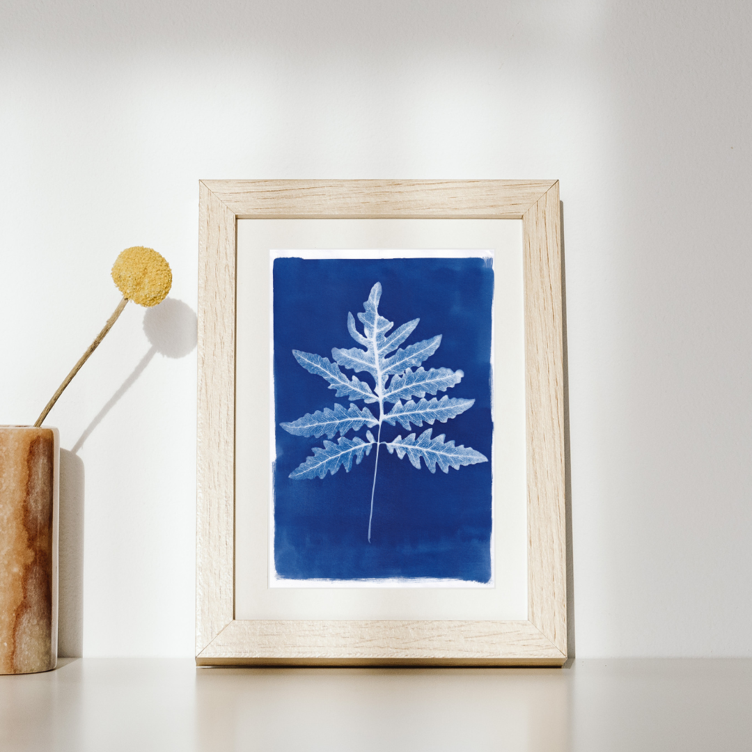 Fern Cyanotype Postcard: botanical print