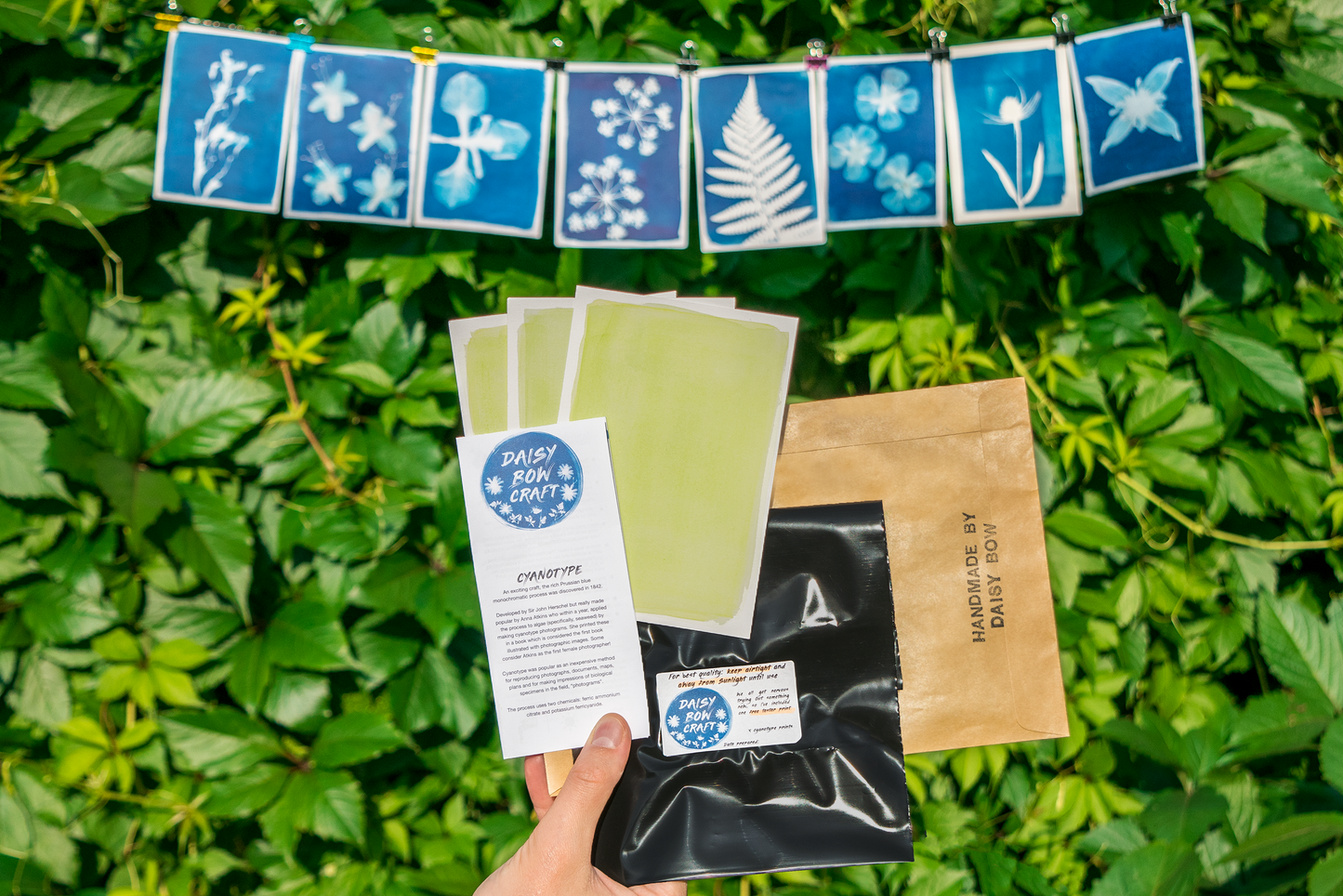 Wonky cyanotype kit: 5 x postcard size paper