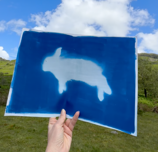 Bunny Cyanotype Print reproduction