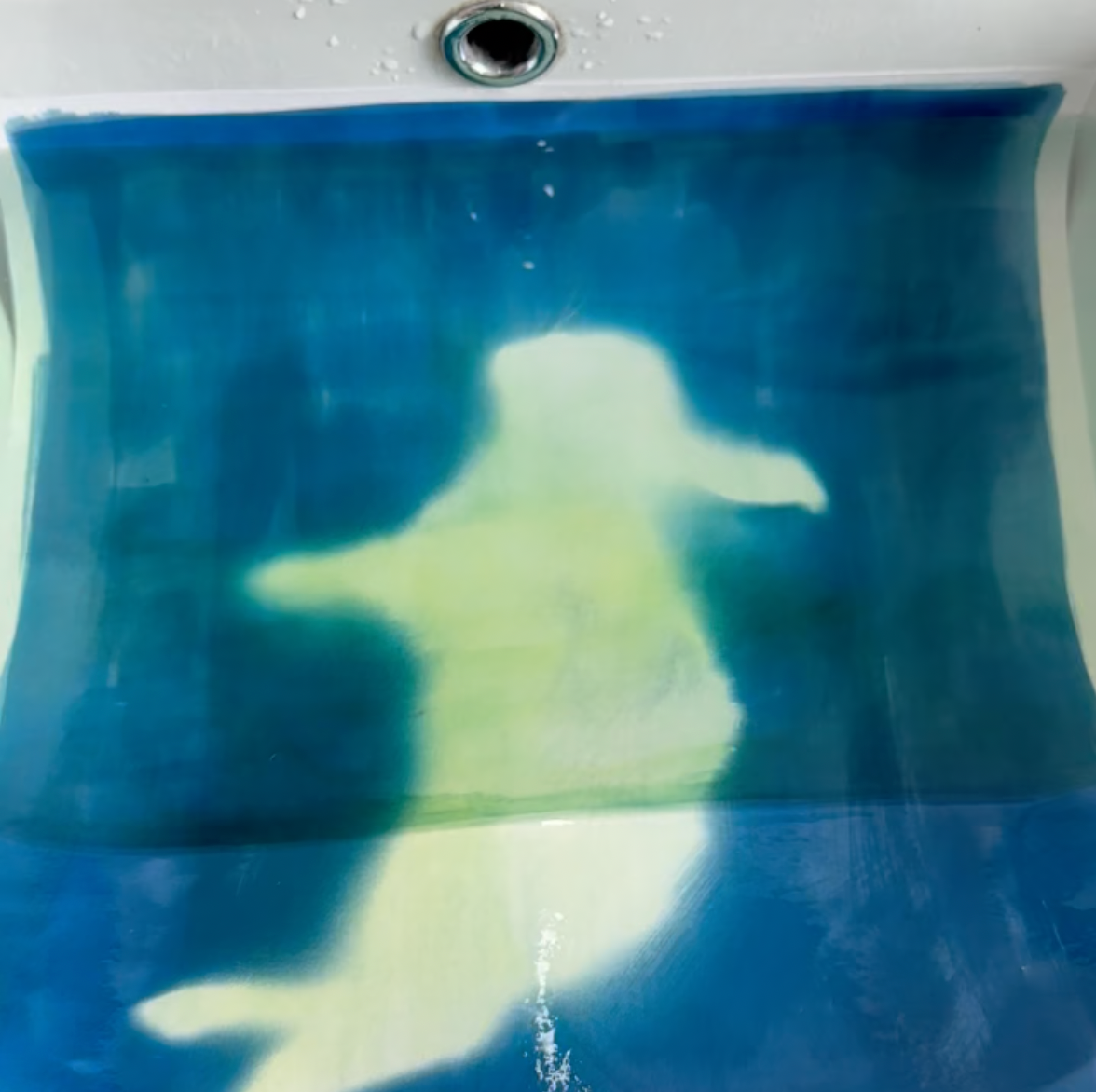 Bunny Cyanotype Print reproduction