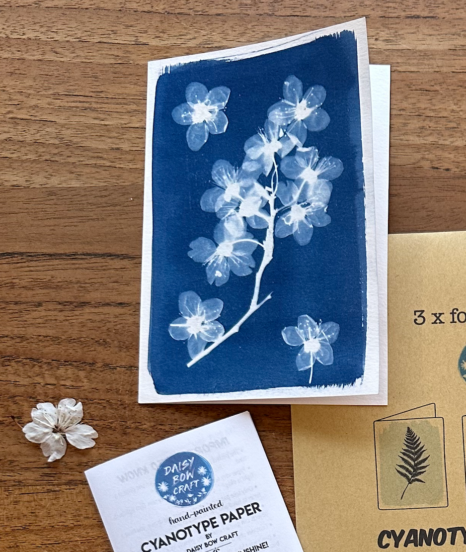 Make your own folded cards: cyanotype Kit
