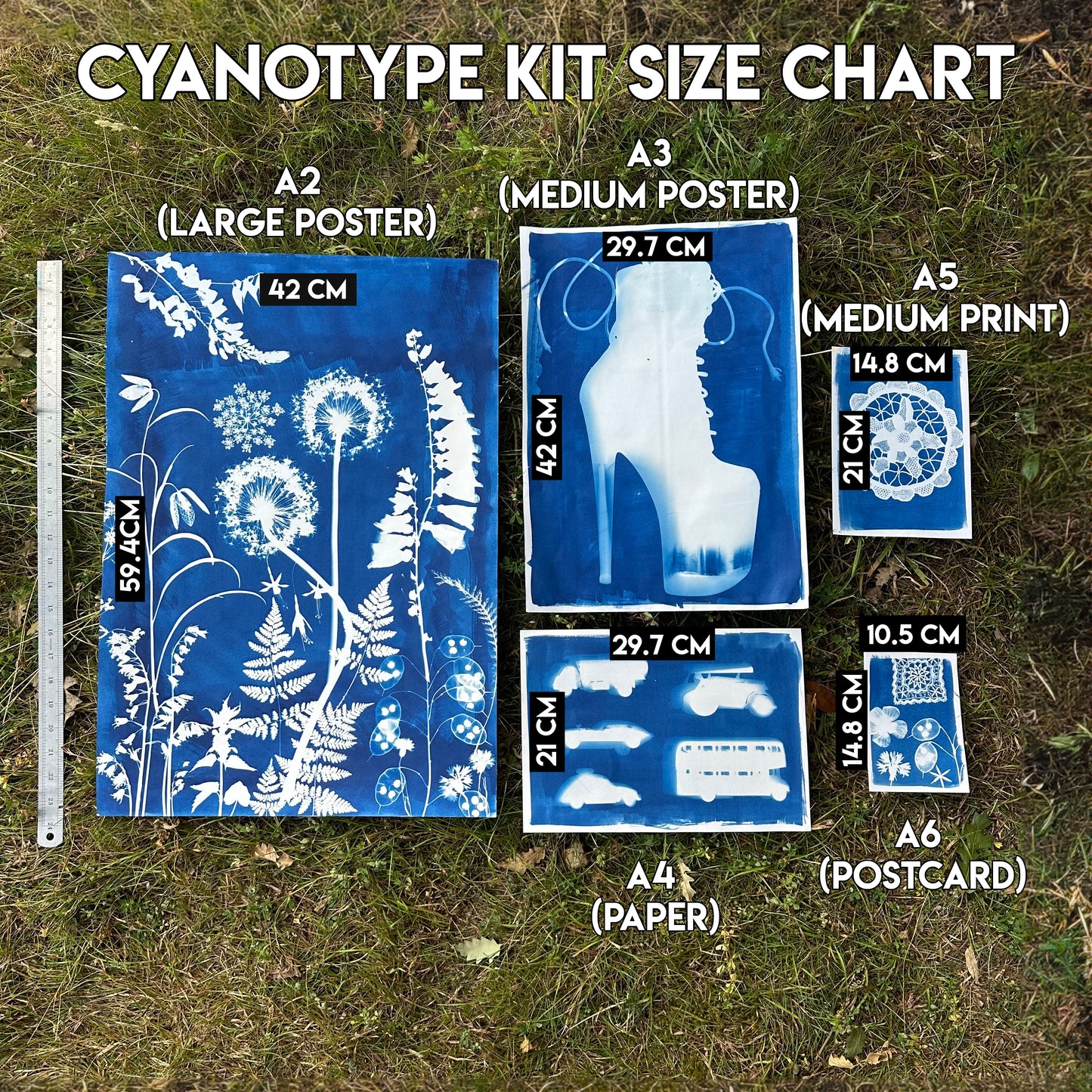 Large Cyanotype Paper Kit, hand painted by Daisy Bow