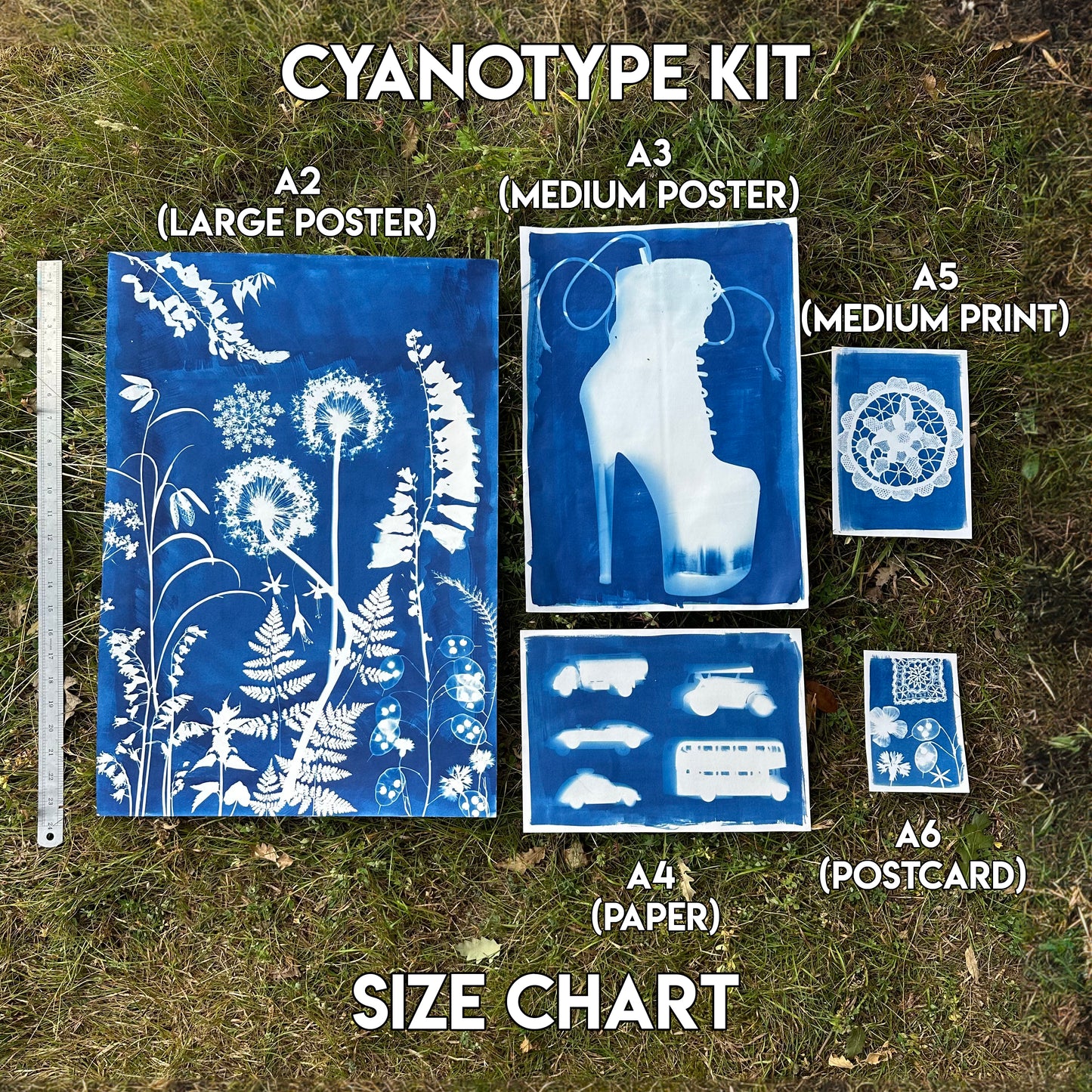 Large Cyanotype Paper Kit, hand painted by Daisy Bow