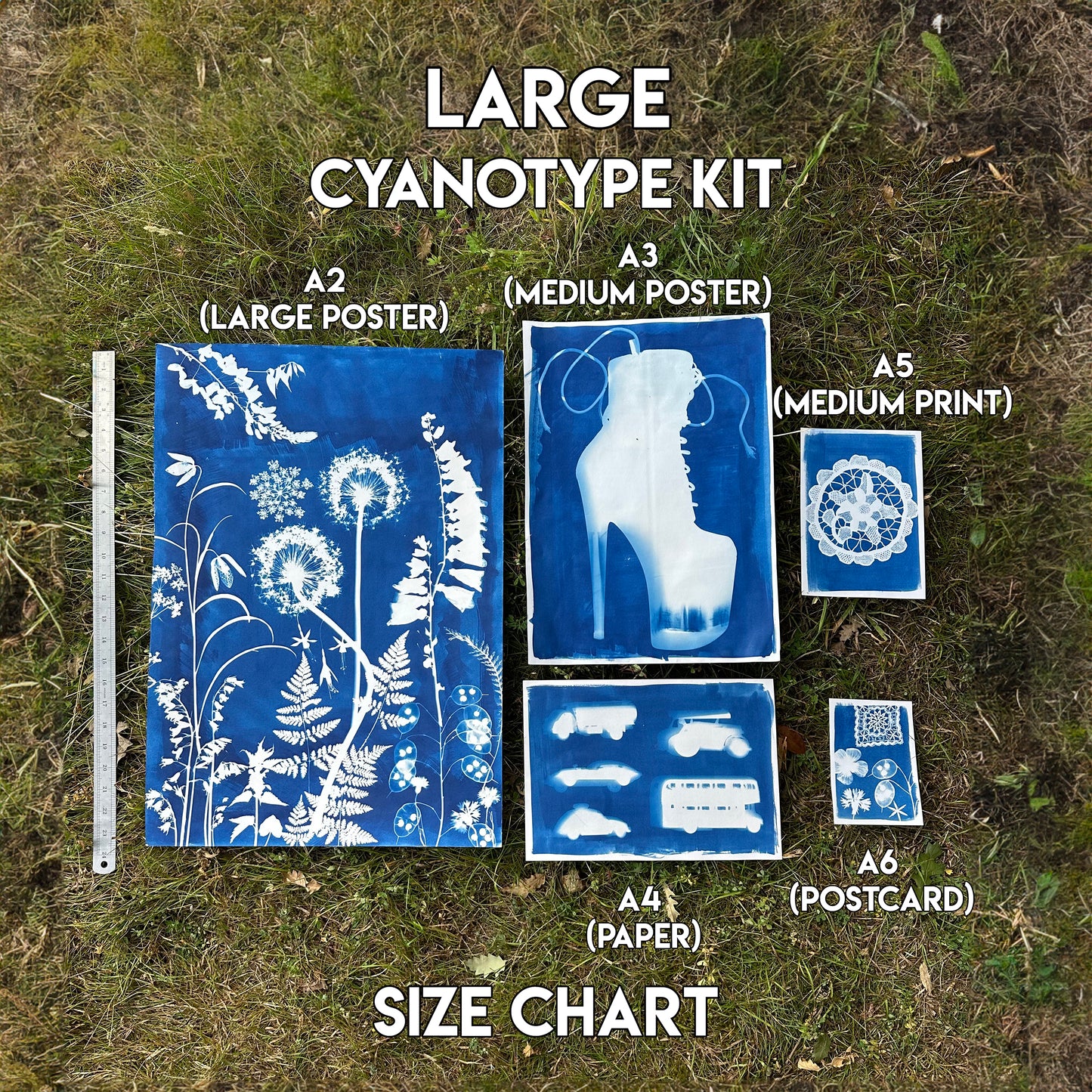 Large Cyanotype Paper Kit, hand painted by Daisy Bow