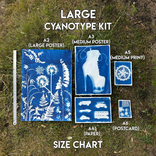 Large Cyanotype Paper Kit, hand painted by Daisy Bow