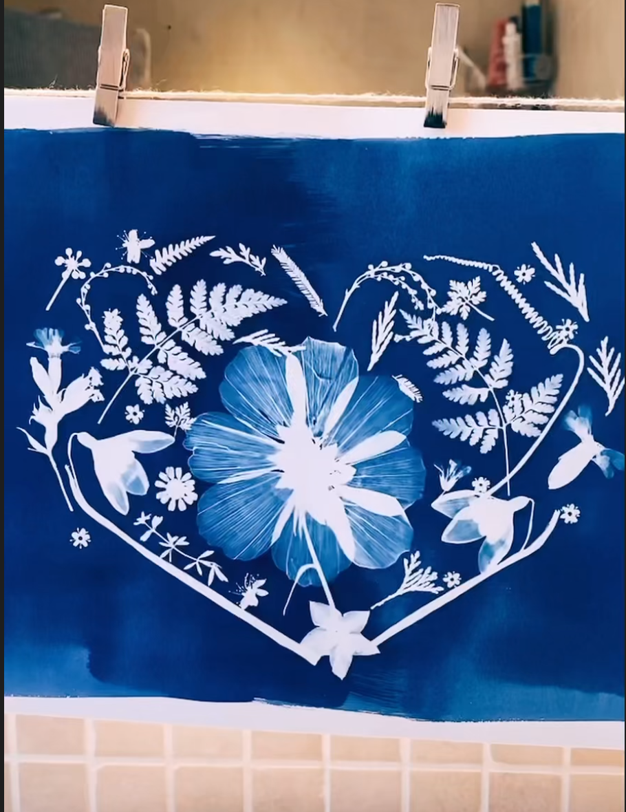 Love Plants Cyanotype Kit