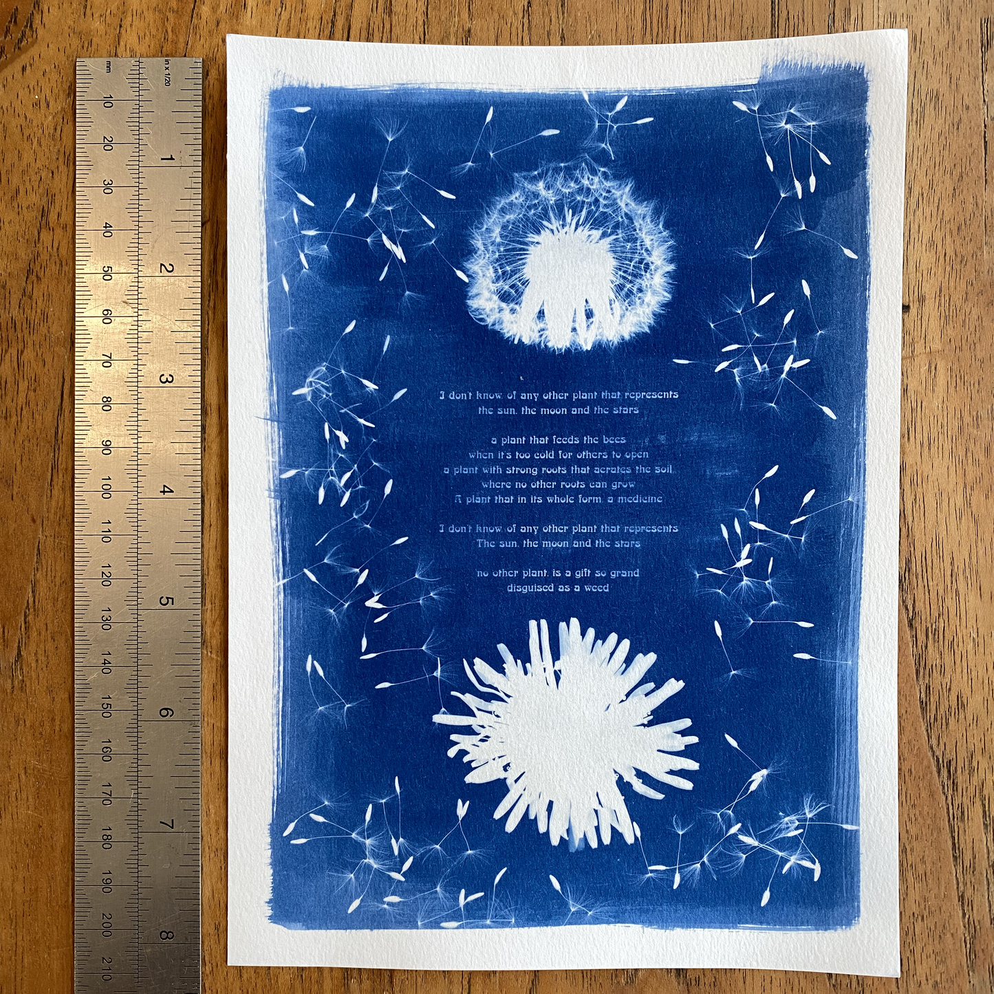 Dandelion Celestial Print