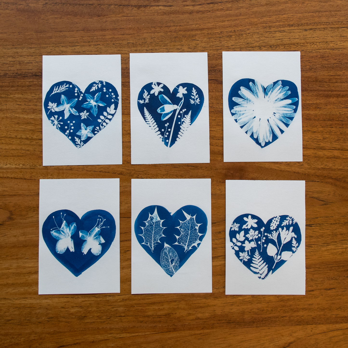 Love Plants Cyanotype Kit