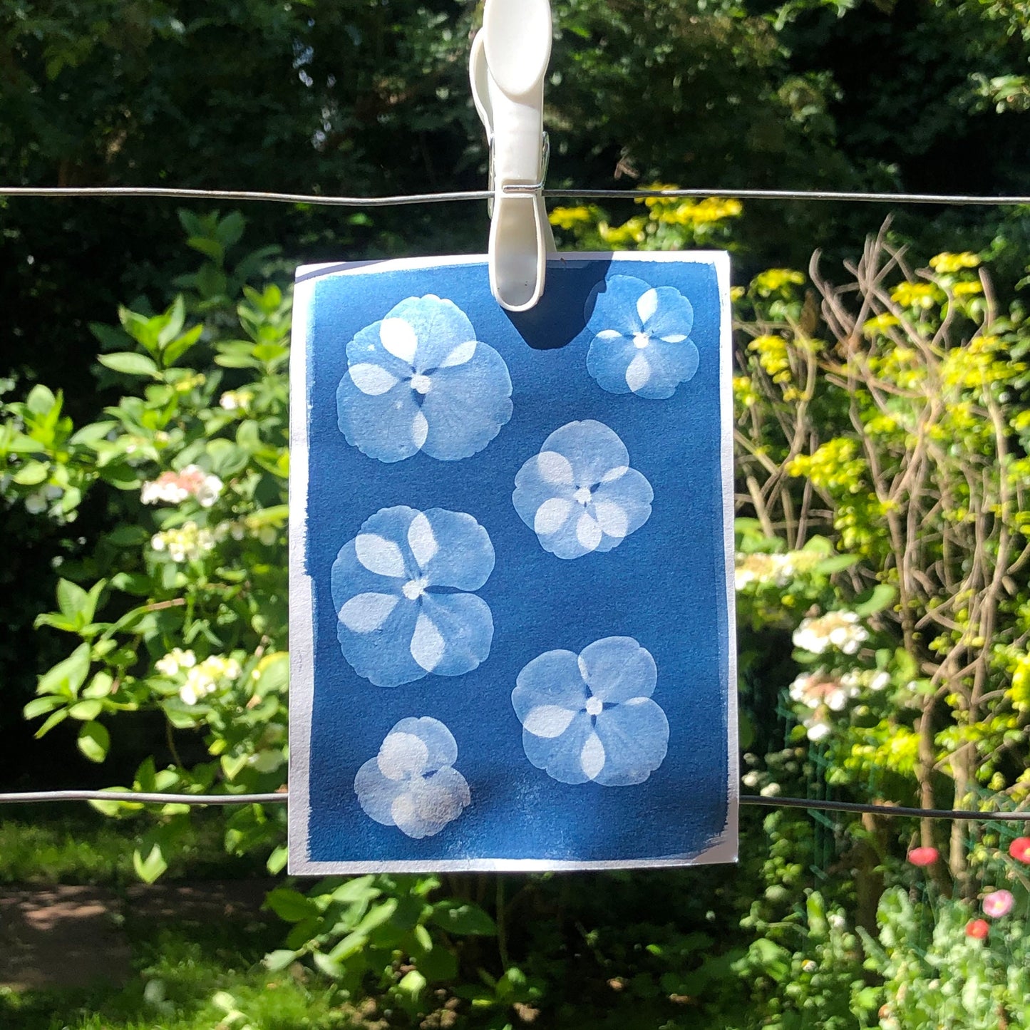 Easy Hand Painted Cyanotype Paper Kit by Daisy Bow