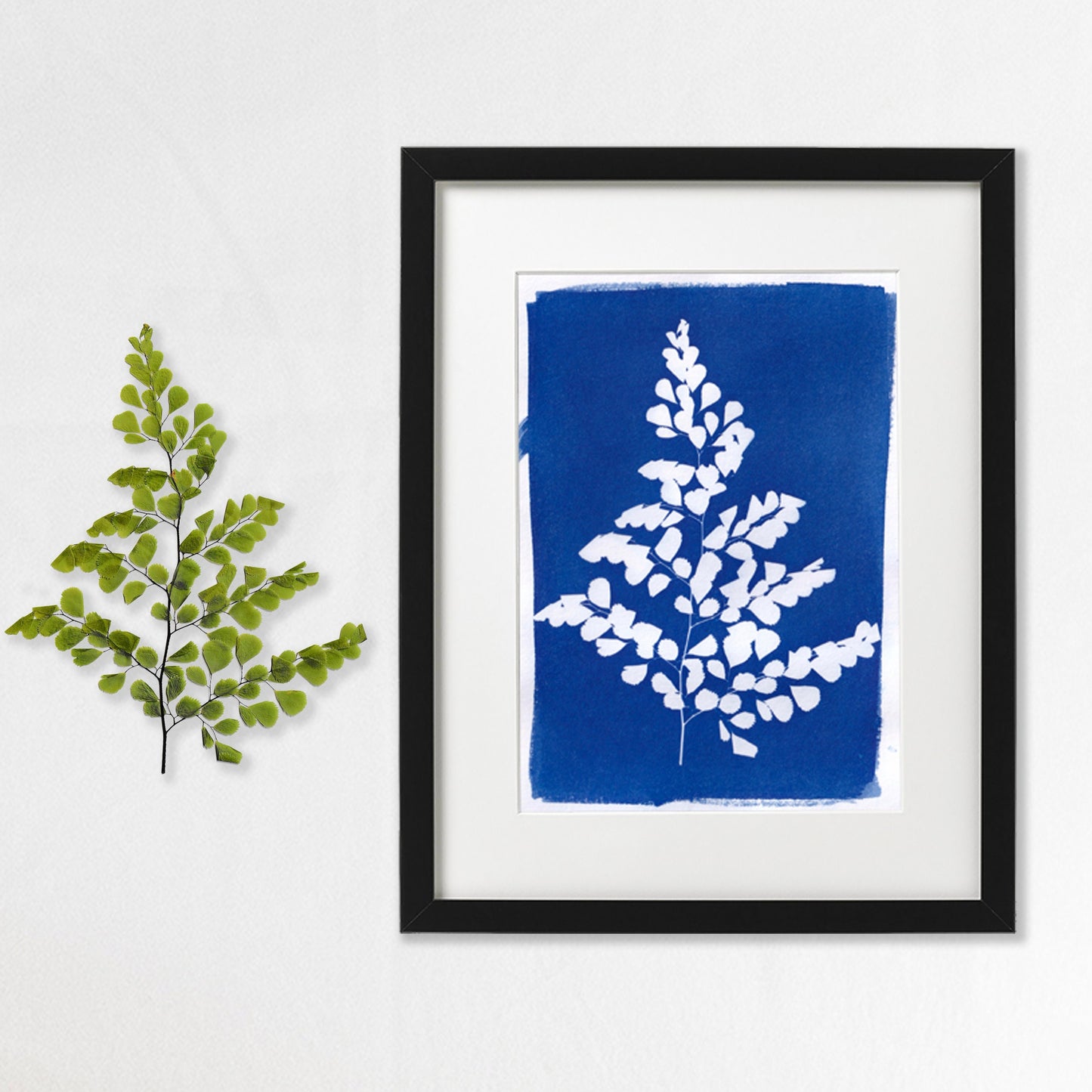 Original Cyanotype Print