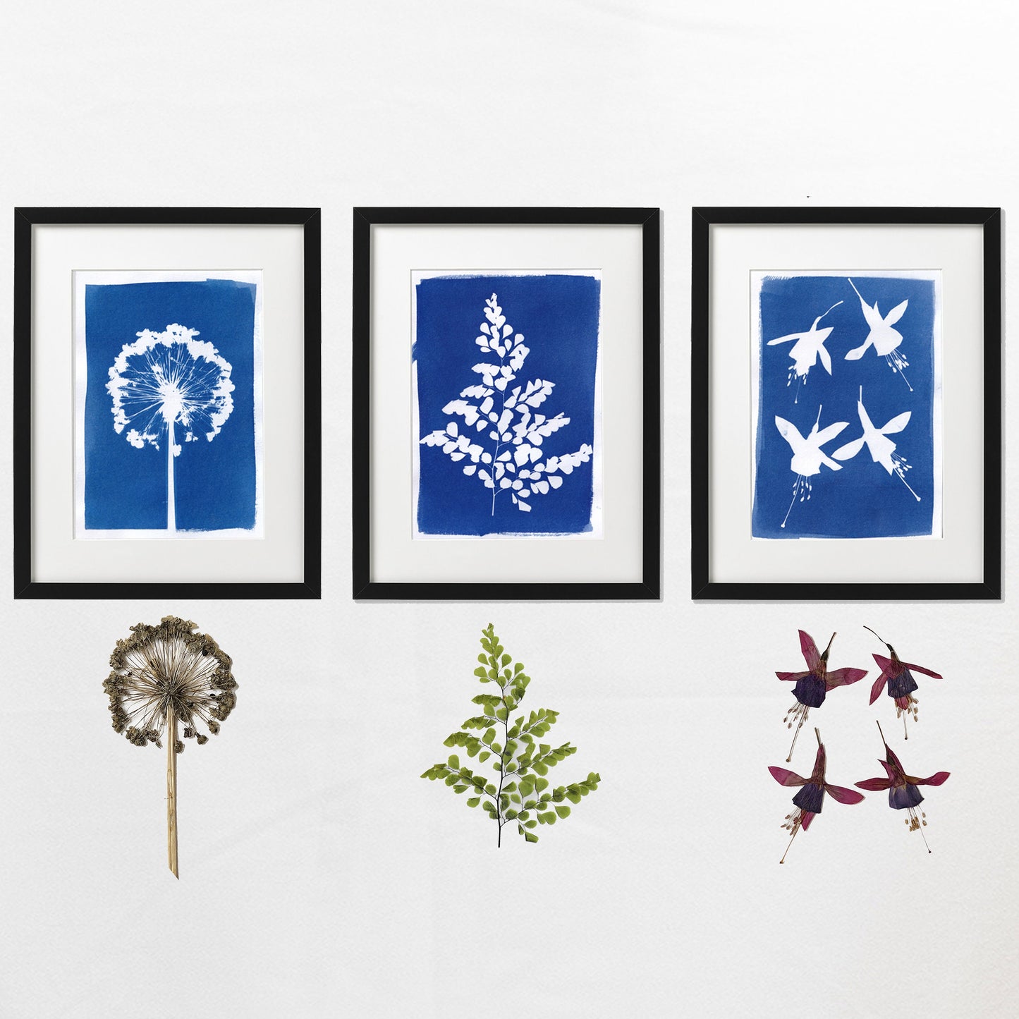 Love themed Cyanotype Flower and Plant Sun Printing Kit