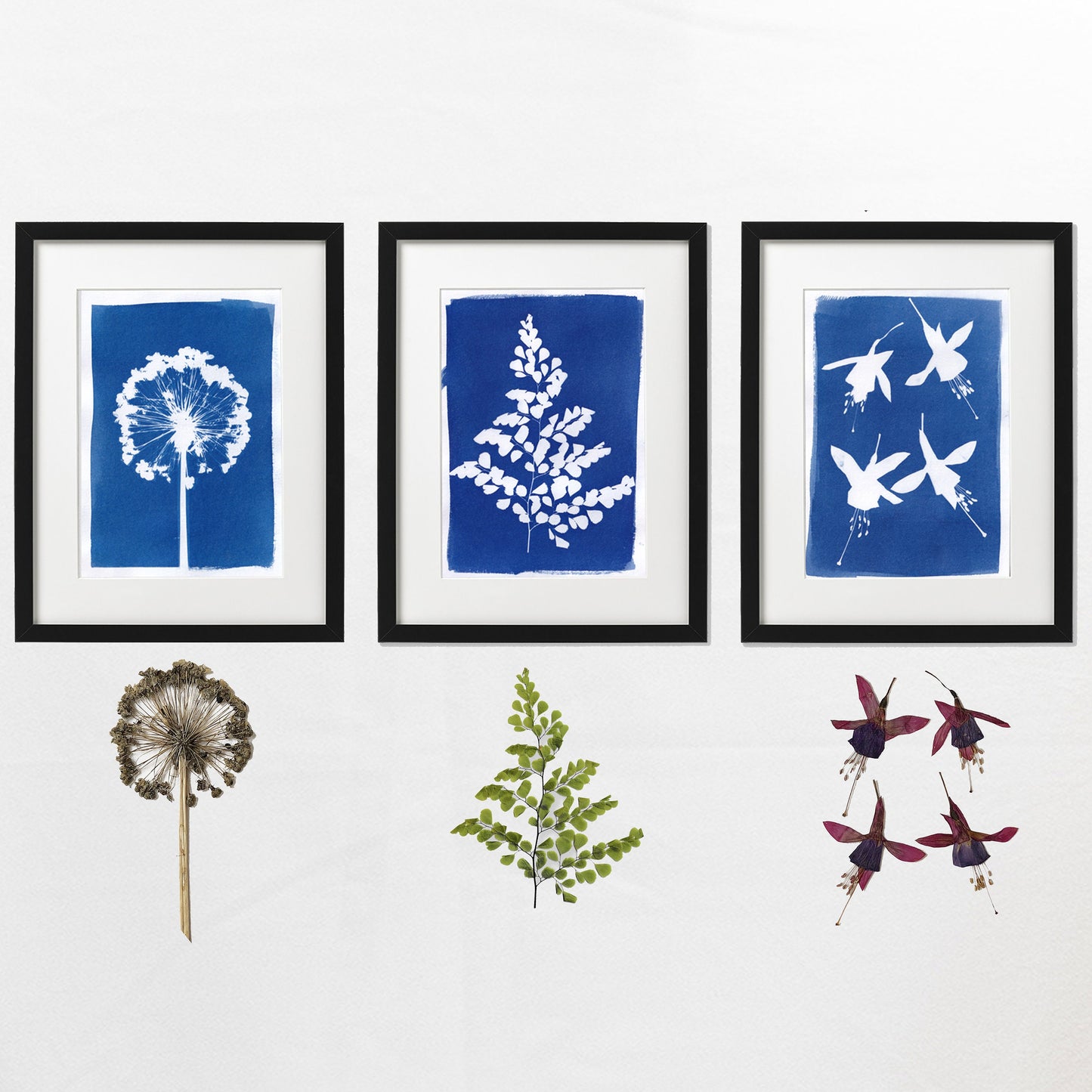 Easy Hand Painted Cyanotype Paper Kit by Daisy Bow