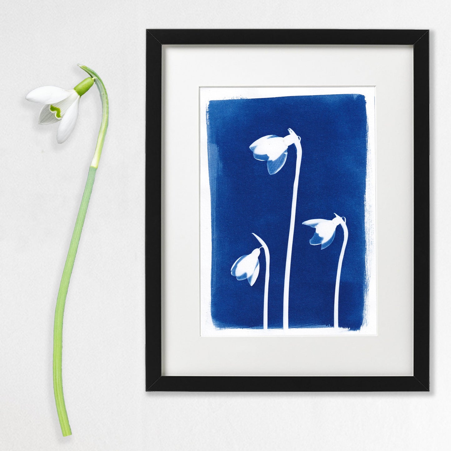 TikTok Snowdrop Print